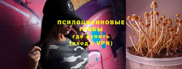 шишки Верея