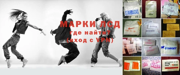 шишки Верея