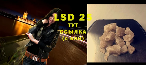 шишки Верея