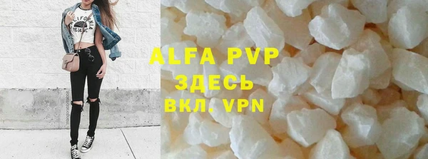 шишки Верея