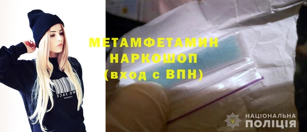 шишки Верея