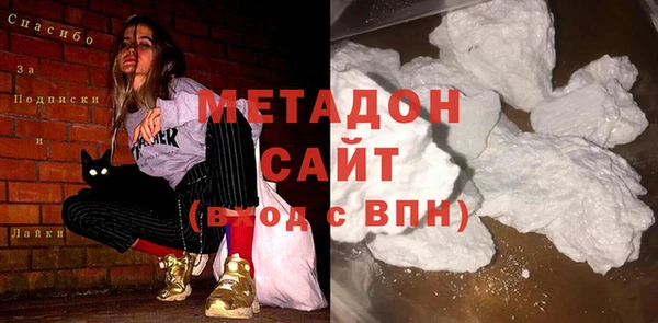 шишки Верея