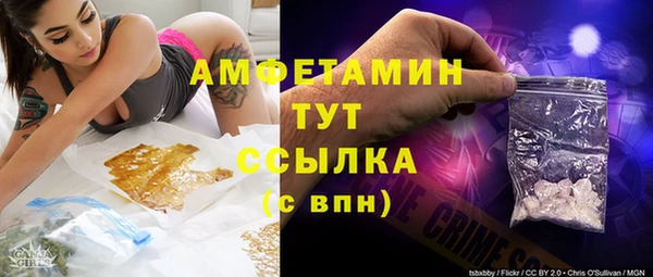 шишки Верея