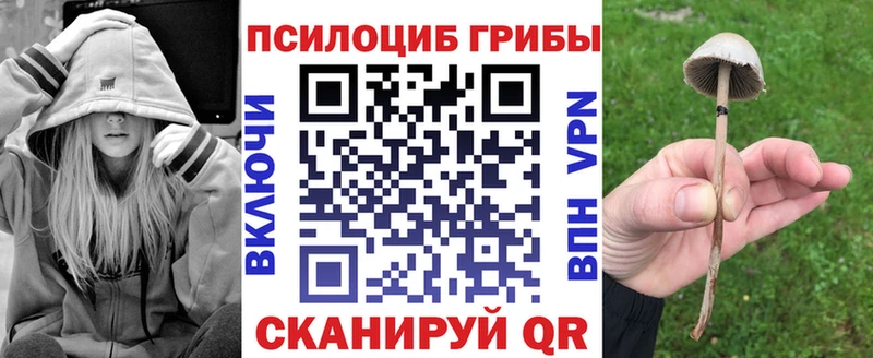 Псилоцибиновые грибы Cubensis  купить наркотики цена  Омск 